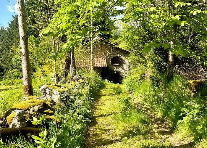 Le Cheix Holiday home