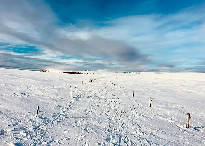 Holiday home Le Cheix Ambert